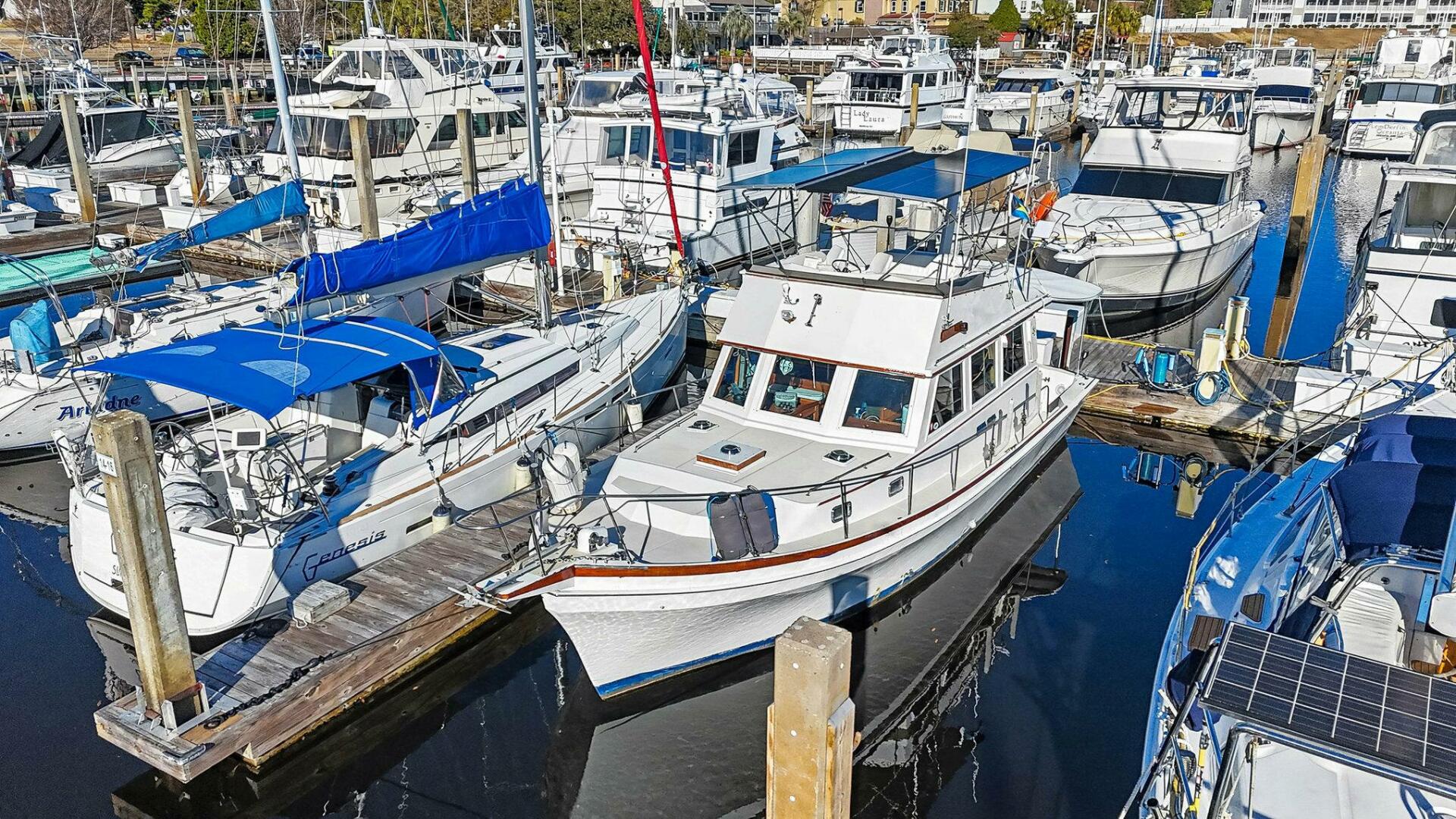 Shannon 1991-Gypsy Queen Little River-South Carolina-United States-5869112 | Thumbnail