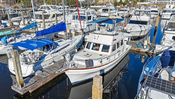Shannon 1991-Gypsy Queen Little River-South Carolina-United States-5869112