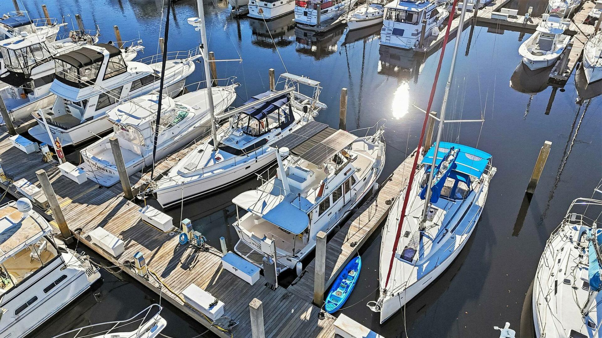 Shannon 1991-Gypsy Queen Little River-South Carolina-United States-5869116 | Thumbnail