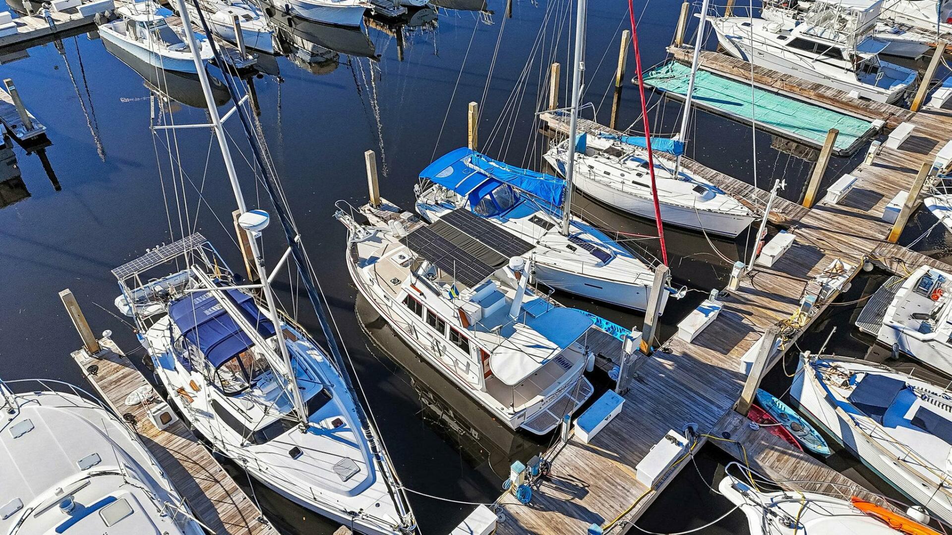 Shannon 1991-Gypsy Queen Little River-South Carolina-United States-5869114 | Thumbnail