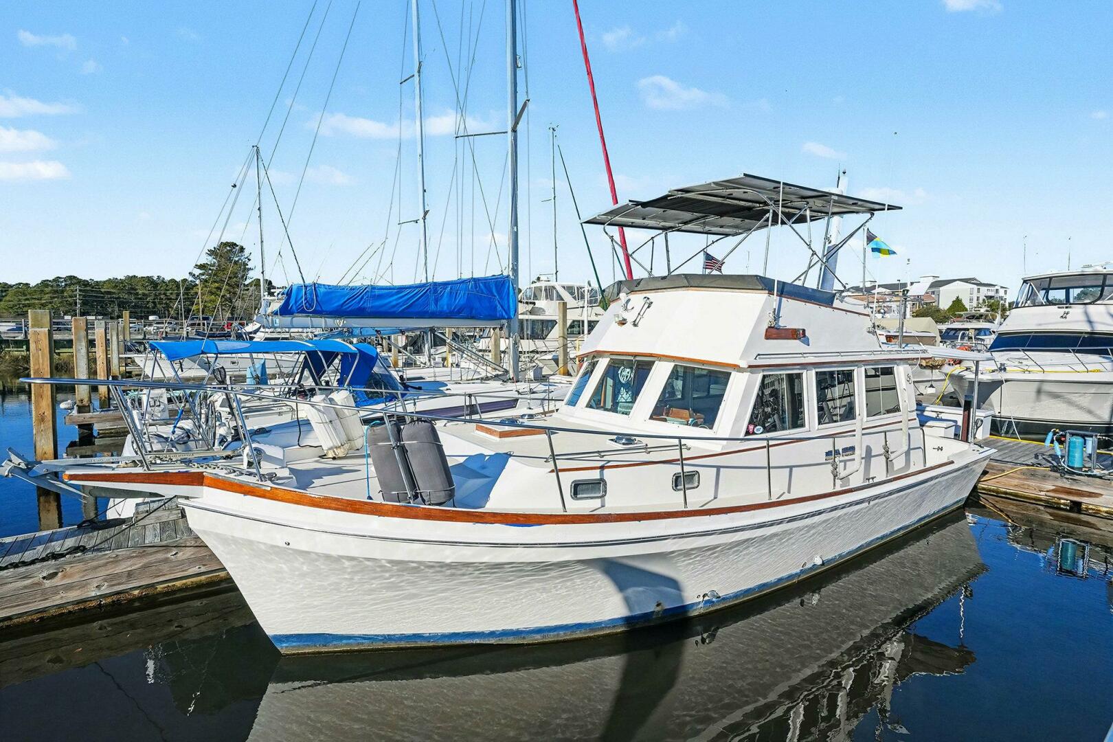 Shannon 1991-Gypsy Queen Little River-South Carolina-United States-5869097 | Thumbnail