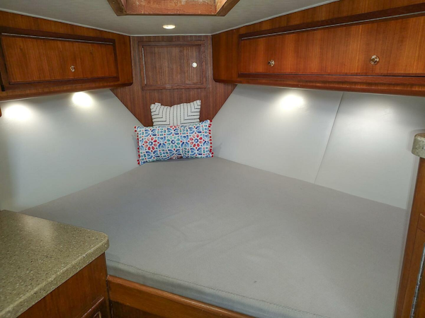 Out Island-SeaTek 36 Express 2017-Never Enough Fort Lauderdale-Florida-United States-5919615