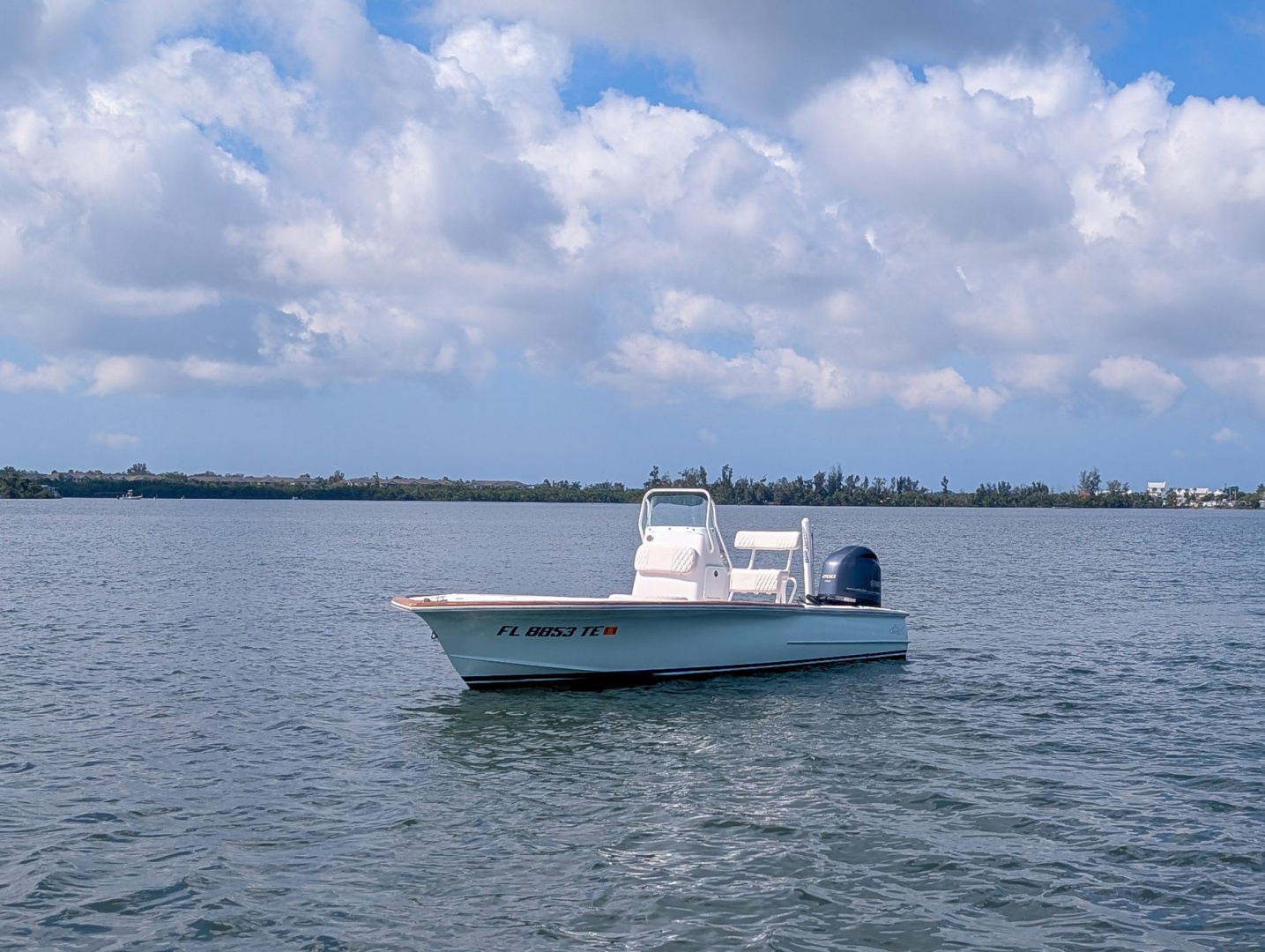 Chaos-21 Tarpon Bay 2017 -Palmetto-Florida-United States-6473443 | Thumbnail