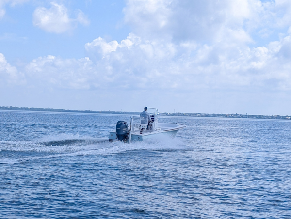 Chaos-21 Tarpon Bay 2017 -Palmetto-Florida-United States-6473460