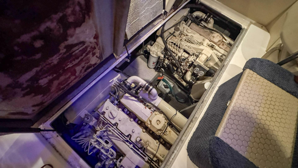 Sea Ray-420 Aft Cabin 2000-Tiny Dancer Englewood-Florida-United States-Engine Room-5936123