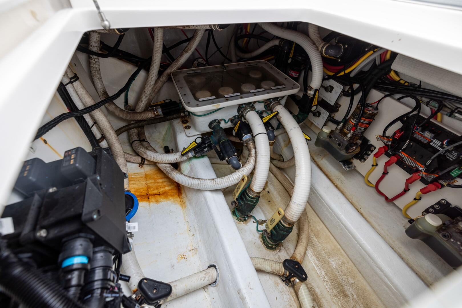 Invincible-40’ Catamaran 2020 -Port St. Joe-Florida-United States-5938663 | Thumbnail