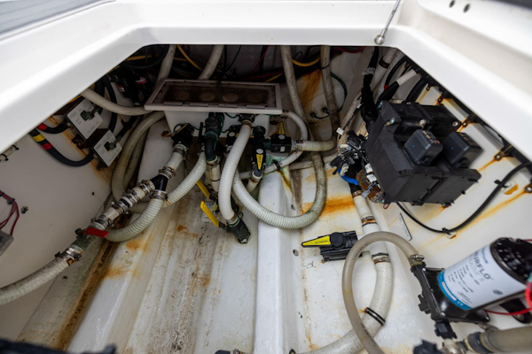 Invincible-40’ Catamaran 2020 -Port St. Joe-Florida-United States-5938660