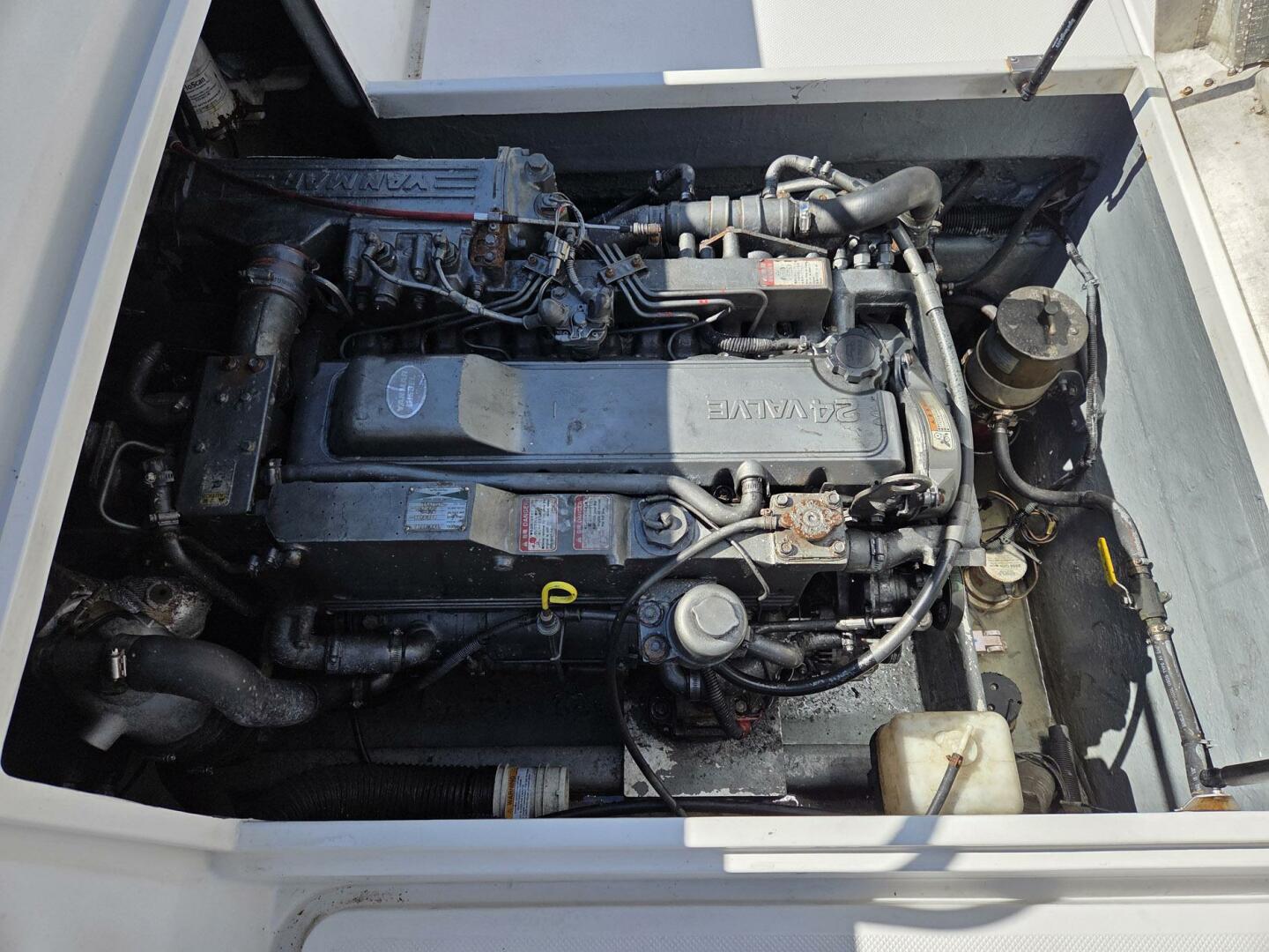 True World Marine-TE286 2003-HuddaHoo Newport-North Carolina-United States-5952747 | Thumbnail