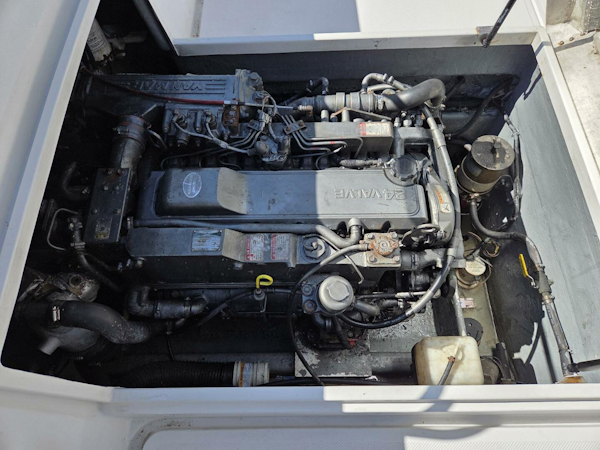 True World Marine-TE286 2003-HuddaHoo Newport-North Carolina-United States-5952747