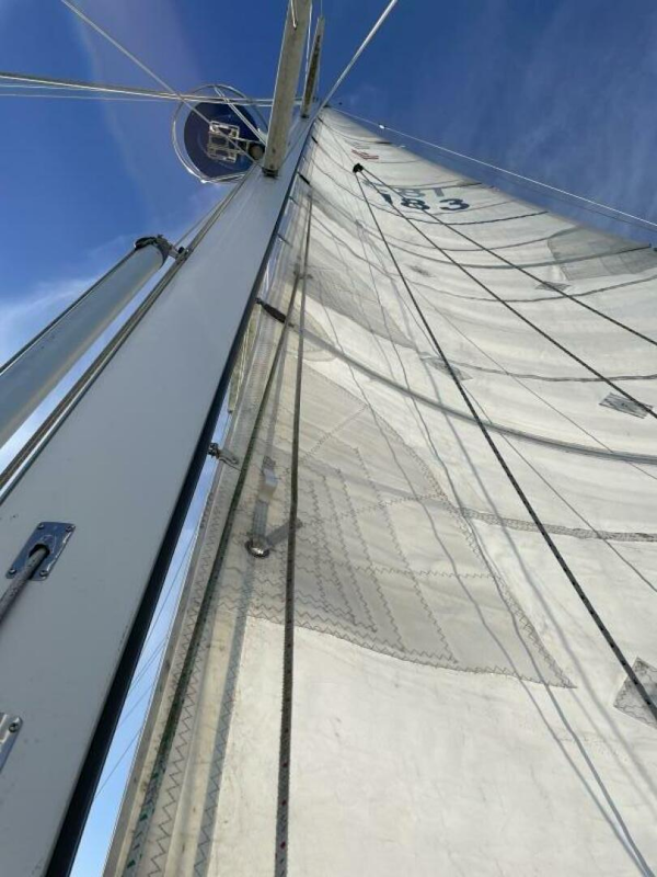 Valiant-42 CE 2010-Fidelity Gloucester Point-Virginia-United States-Sails-5960407