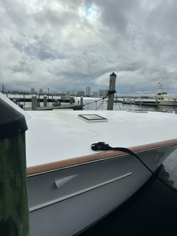 Buddy Davis-SPORTFISH 2001-Salty Bonz Palm Beach-Florida-United States-5978051