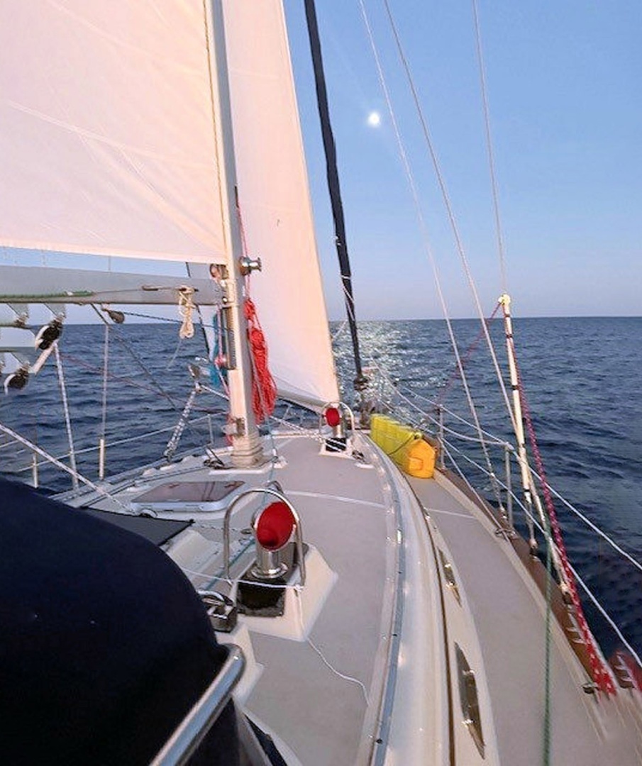 Island Packet-370 2005-3 DOLPHINS Thunderbolt-Georgia-United States-5998812 | Thumbnail