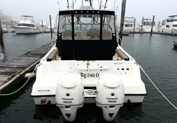 Wellcraft-290 Coastal 1999-Big Fish On Atlantic City-New Jersey-United States-5992025