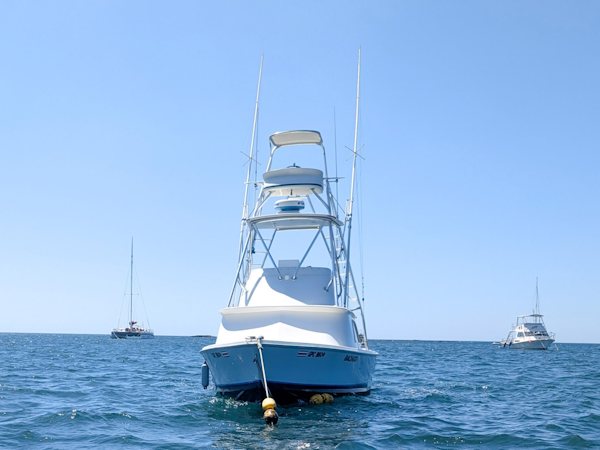 Bertram-Sportfisher 1973-Bachata Tamarindo-Costa Rica-6009415