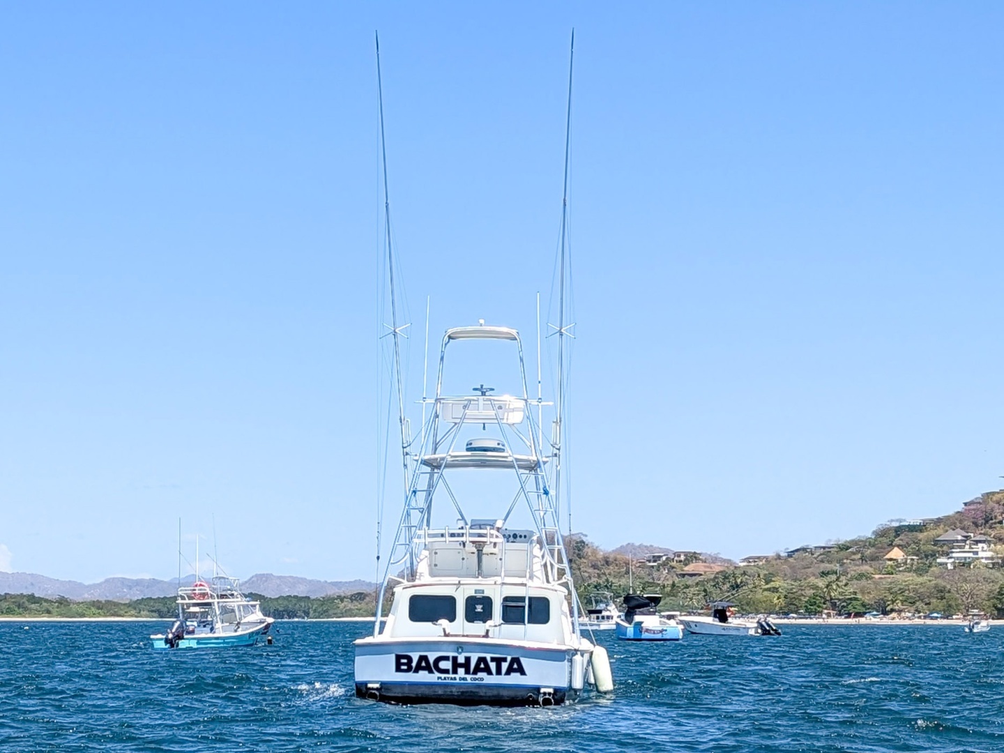 Bertram-Sportfisher 1973-Bachata Tamarindo-Costa Rica-6009414 | Thumbnail