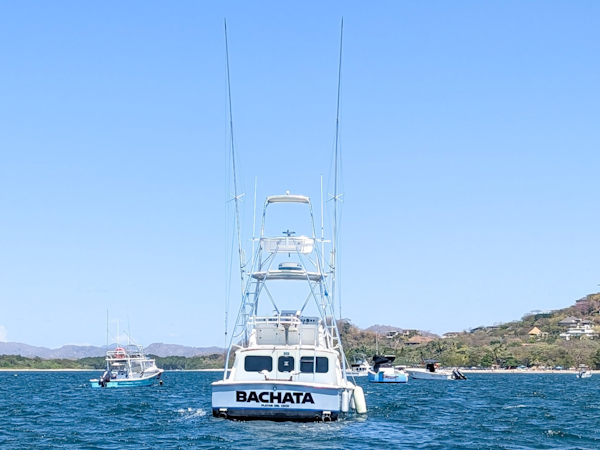 Bertram-Sportfisher 1973-Bachata Tamarindo-Costa Rica-6009414