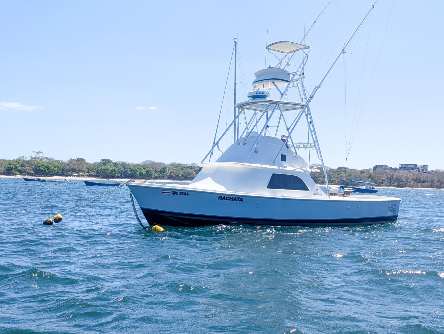 Bertram-Sportfisher 1973-Bachata Tamarindo-Costa Rica-6009410 | Thumbnail