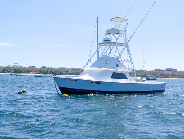 Bertram-Sportfisher 1973-Bachata Tamarindo-Costa Rica-6009410