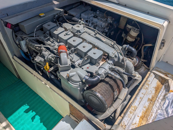 Bertram-Sportfisher 1973-Bachata Tamarindo-Costa Rica-6009437