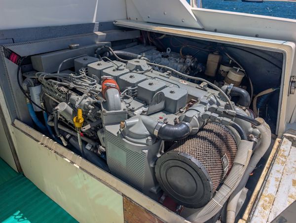 Bertram-Sportfisher 1973-Bachata Tamarindo-Costa Rica-6009438