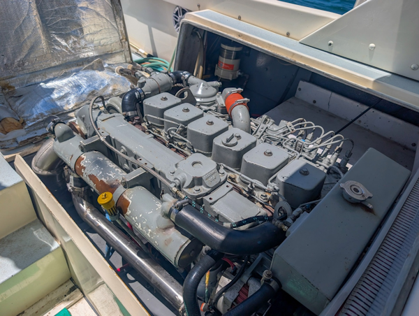 Bertram-Sportfisher 1973-Bachata Tamarindo-Costa Rica-6009435