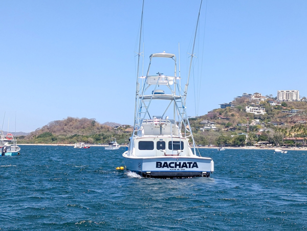 Bertram-Sportfisher 1973-Bachata Tamarindo-Costa Rica-6009413