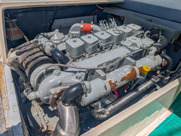 Bertram-Sportfisher 1973-Bachata Tamarindo-Costa Rica-6009434