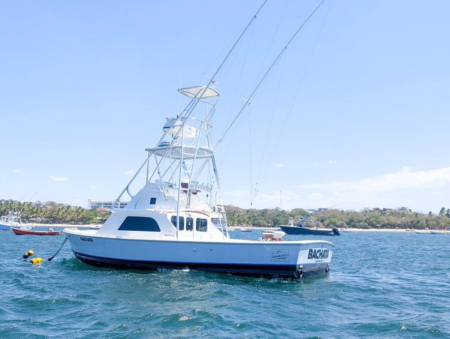 Bertram-Sportfisher 1973-Bachata Tamarindo-Costa Rica-6009411 | Thumbnail