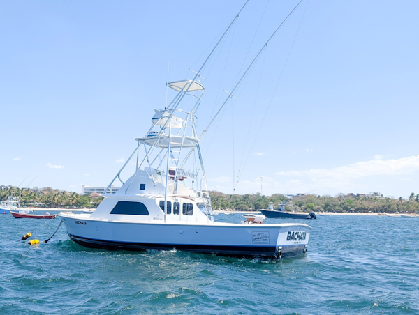 Bertram-Sportfisher 1973-Bachata Tamarindo-Costa Rica-6009411