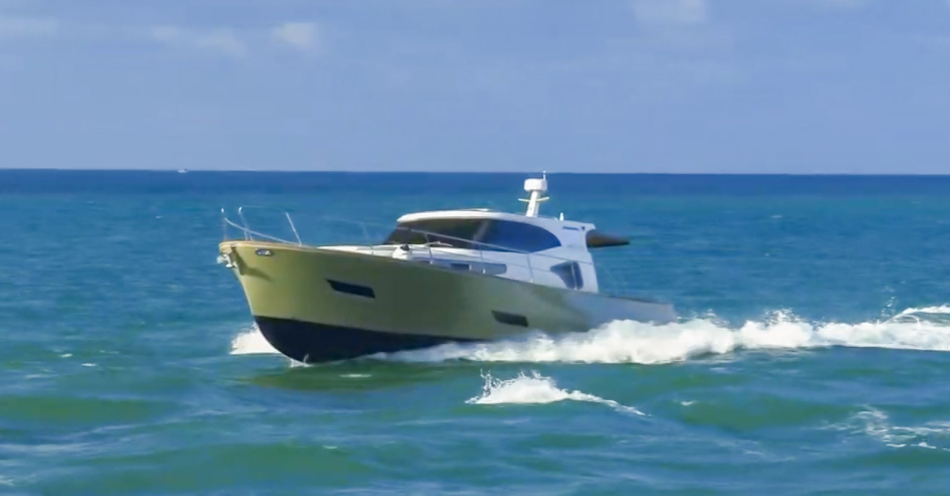 Monachus Issa-45 Issa 2019-45 Issa Fort Lauderdale-Florida-United States-6016810 | Thumbnail