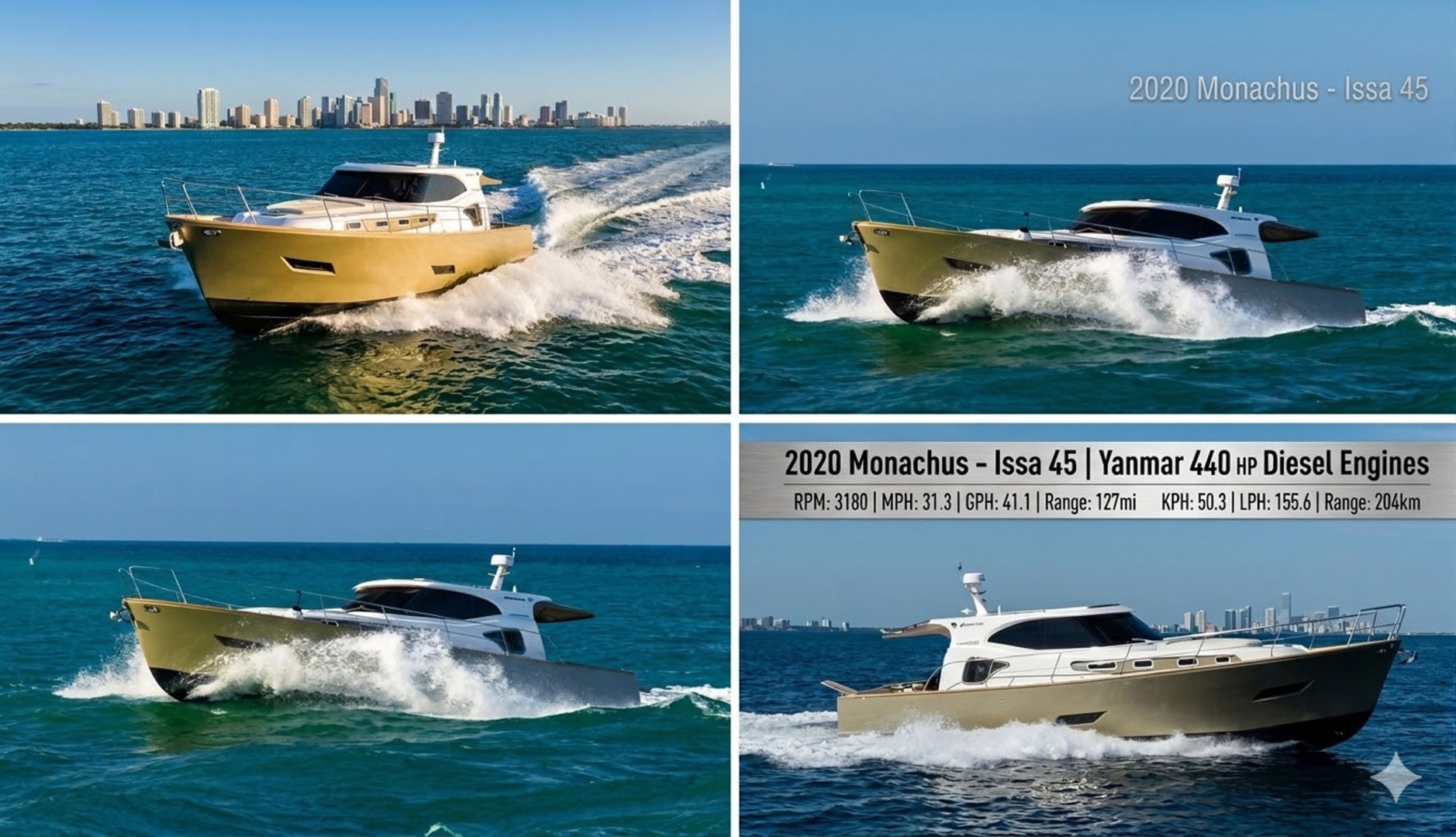 Monachus Issa-45 Issa 2019-45 Issa Fort Lauderdale-Florida-United States-6016824 | Thumbnail