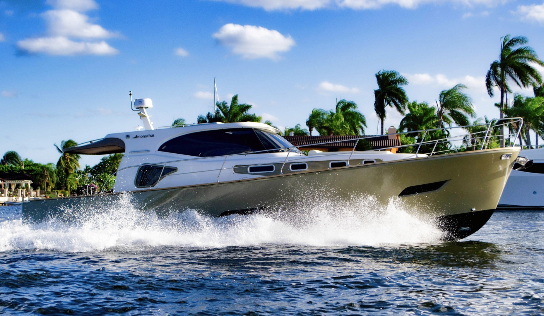 Monachus Issa-45 Issa 2019-45 Issa Fort Lauderdale-Florida-United States-6016789 | Thumbnail