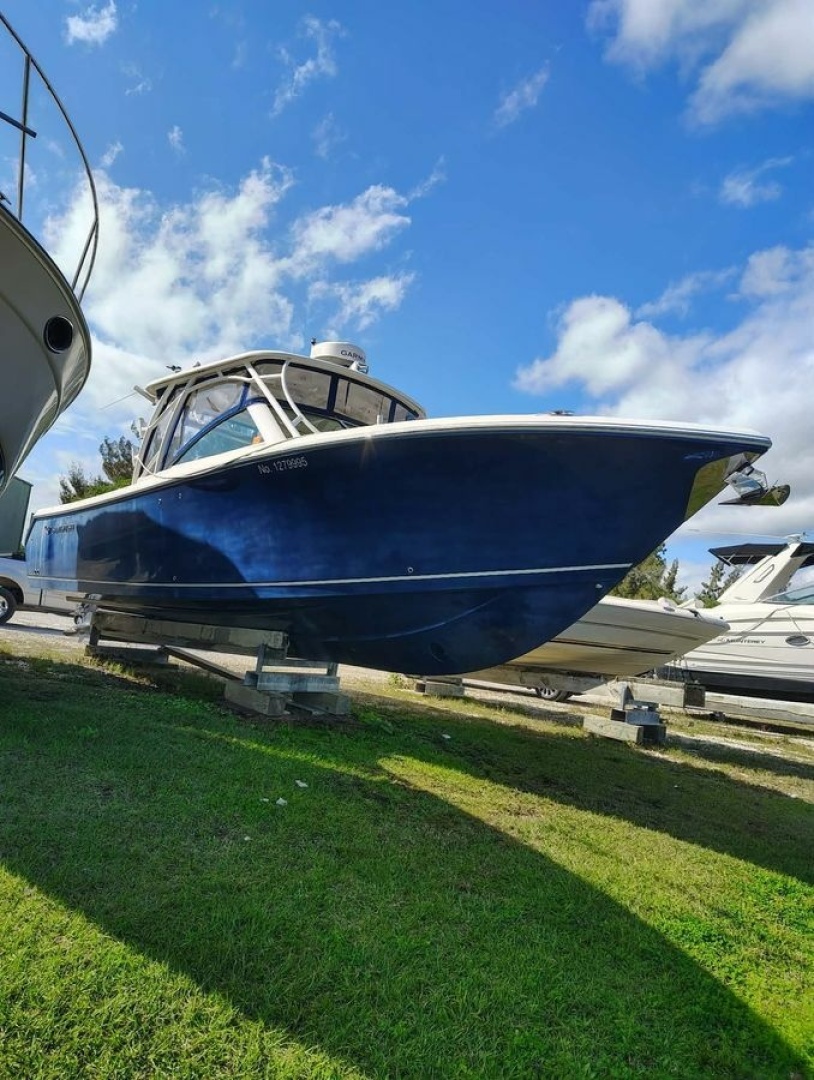 Sailfish 2017 -Merritt Island-Florida-United States-6023471 | Thumbnail