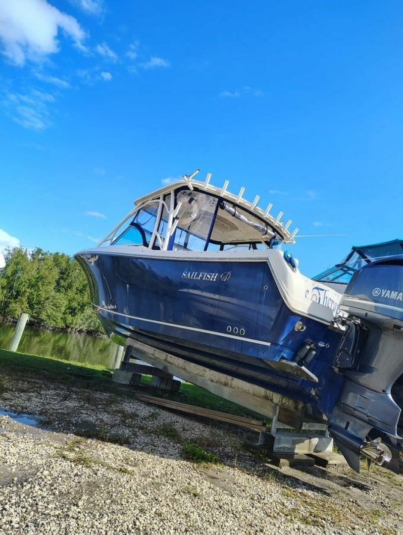 Sailfish 2017 -Merritt Island-Florida-United States-6023477 | Thumbnail