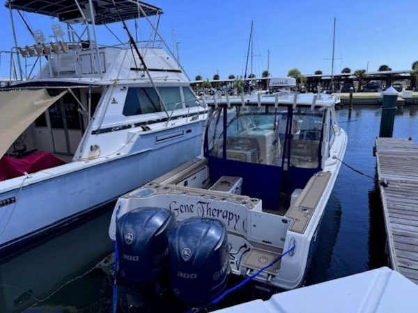 Sailfish 2017 -Merritt Island-Florida-United States-6023470