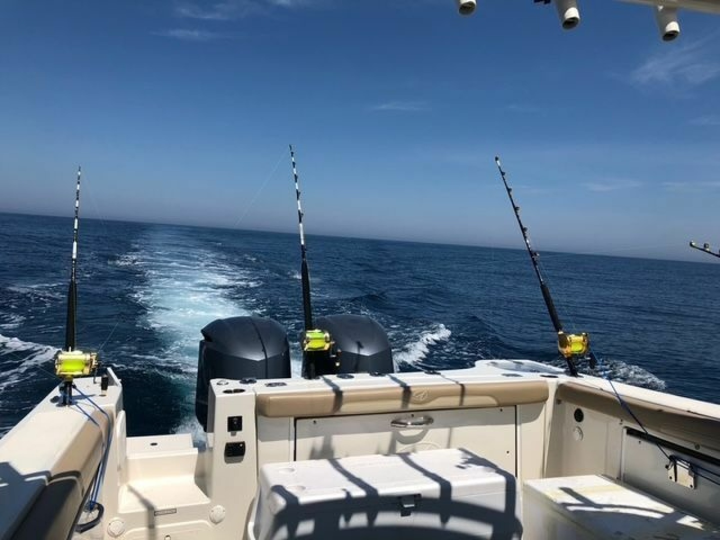 Sailfish 2017 -Merritt Island-Florida-United States-6023467 | Thumbnail