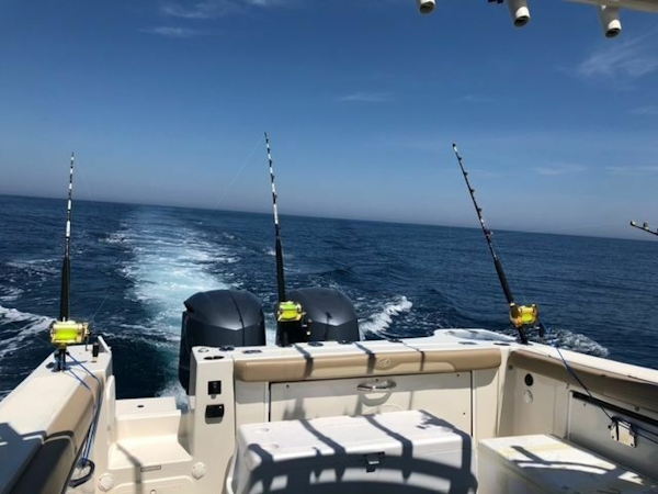 Sailfish 2017 -Merritt Island-Florida-United States-6023467