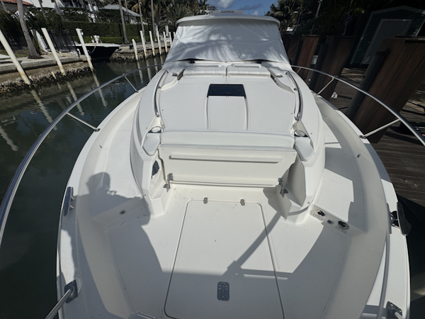 Pursuit 2024 -Miami-Florida-United States-6022568