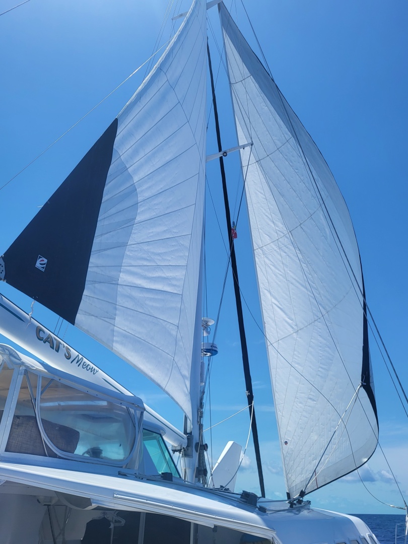 Kelsall-Manannan Custom 1988-Cats Meow Salinas-Puerto Rico-United States-6026773 | Thumbnail