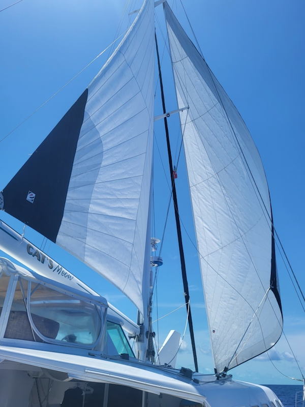 Kelsall-Manannan Custom 1988-Cats Meow Salinas-Puerto Rico-United States-6026773