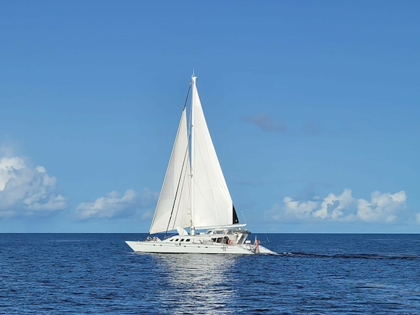 Kelsall-Manannan Custom 1988-Cats Meow Salinas-Puerto Rico-United States-1988 Custom 78 Catamaran for Sale in Puerto Rico offered by Ward Yacht Sales-6026581