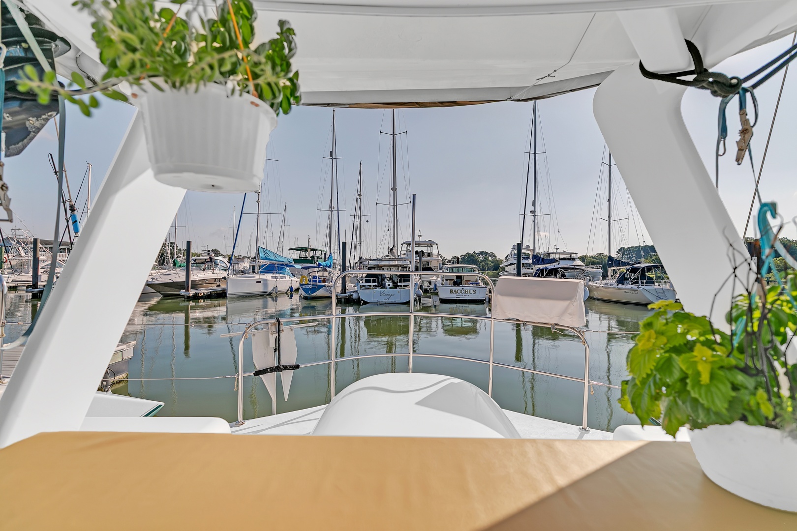 Kelsall-Manannan Custom 1988-Cats Meow Salinas-Puerto Rico-United States-6026677 | Thumbnail