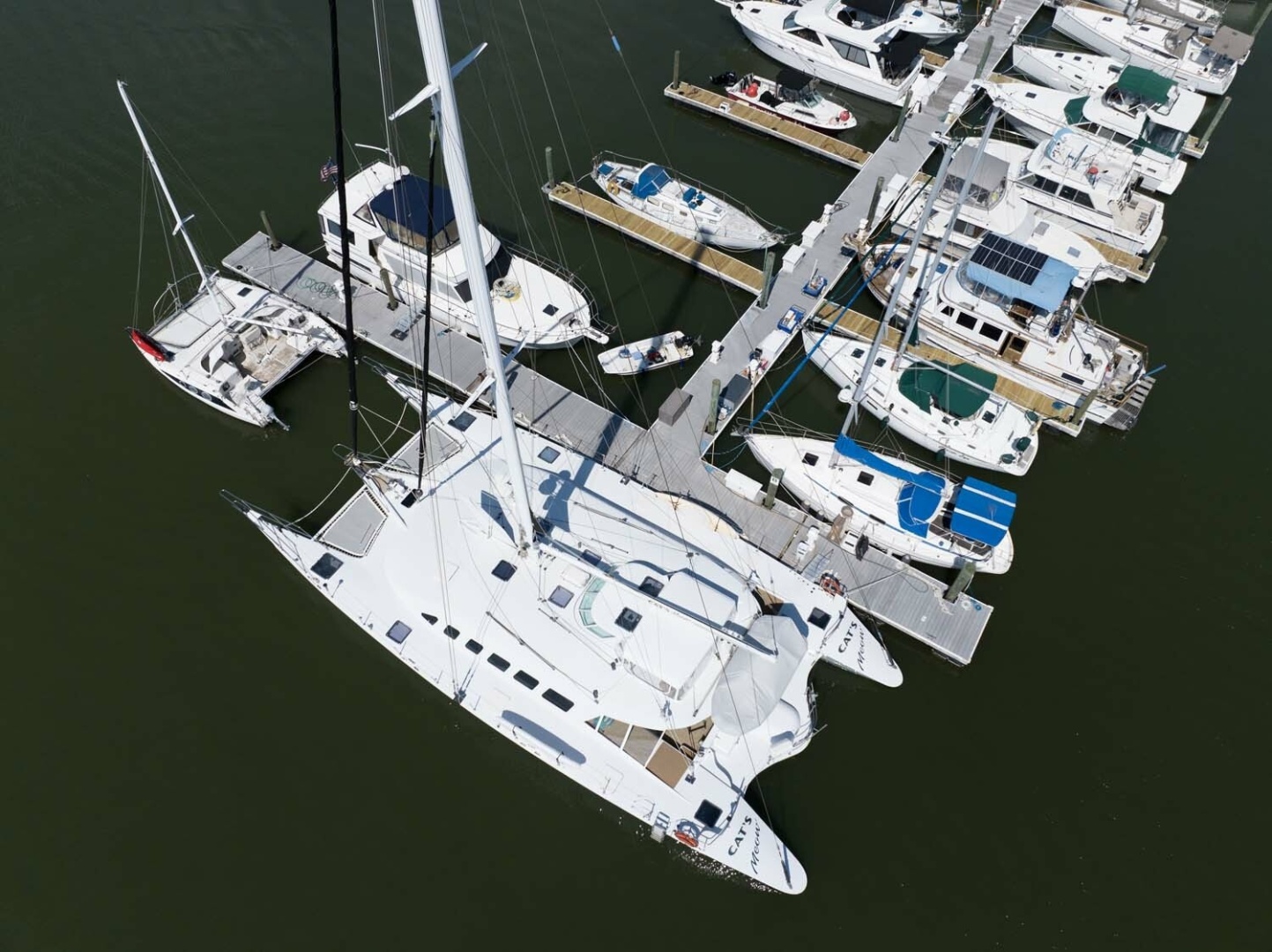 Kelsall-Manannan Custom 1988-Cats Meow Salinas-Puerto Rico-United States-6026670 | Thumbnail