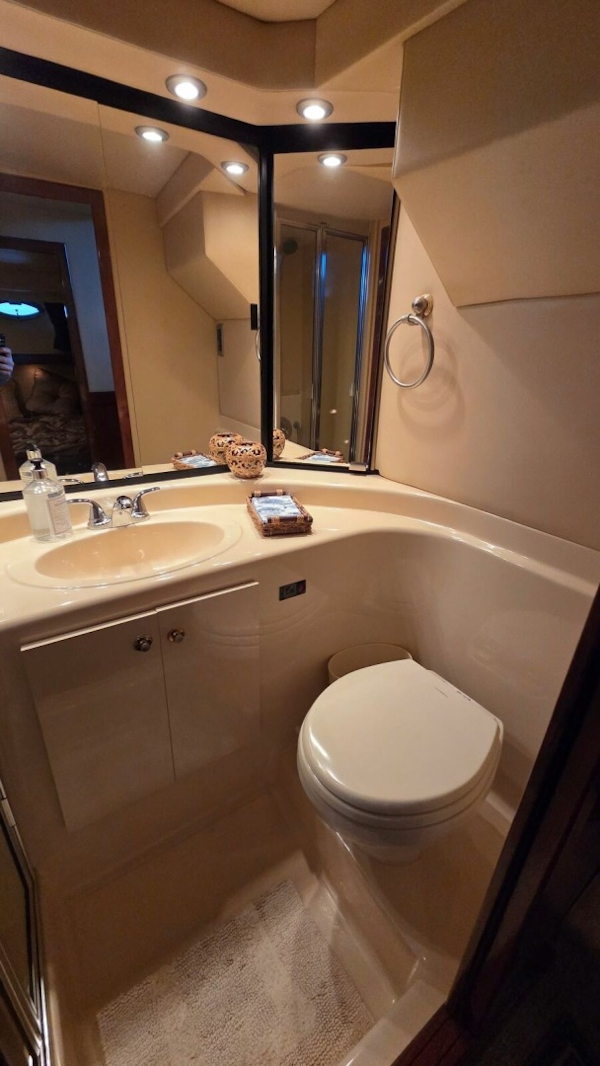 Meridian-490 Pilothouse 2008-Runaway Guntersville-Alabama-United States-Guest Head-6035177