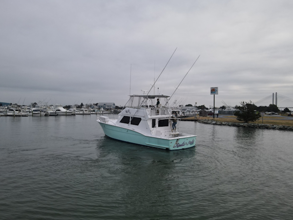 Hatteras-52 Convertible 1989-Reelin & Rockin Rehoboth Beach-Delaware-United States-6041857