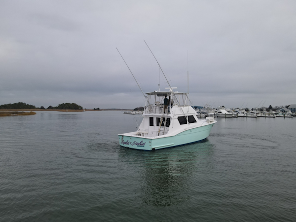 Hatteras-52 Convertible 1989-Reelin & Rockin Rehoboth Beach-Delaware-United States-6041852