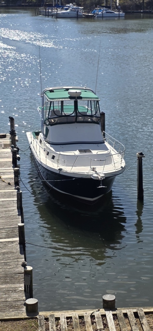 Albin-32 + 2 Command Bridge 2001-Green Eyed Lady Edgewater-Maryland-United States-6042601 | Thumbnail