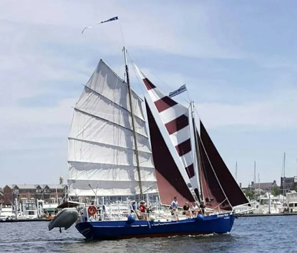 Colvin Gazelle-Gazelle 1979-Summer Wind Baltimore-Maryland-United States-0005675431-6057976