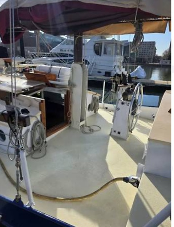Colvin Gazelle-Gazelle 1979-Summer Wind Baltimore-Maryland-United States-0005675445-6057987