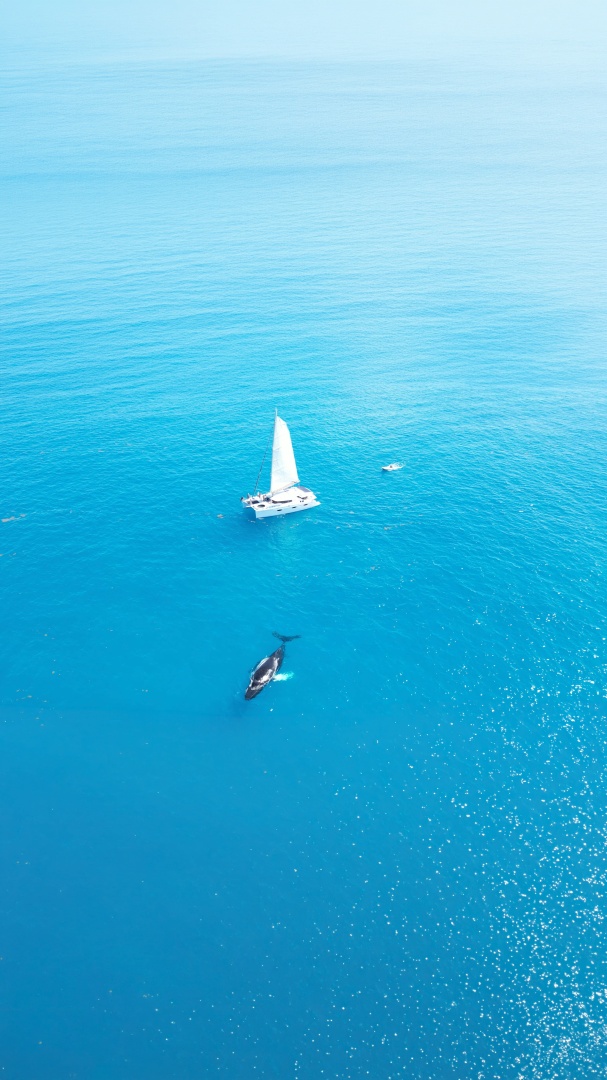 Fountaine Pajot-Sanya 57 2013-Perpetual Blue St. Thomas-Virgin Islands-United States-6105514 | Thumbnail